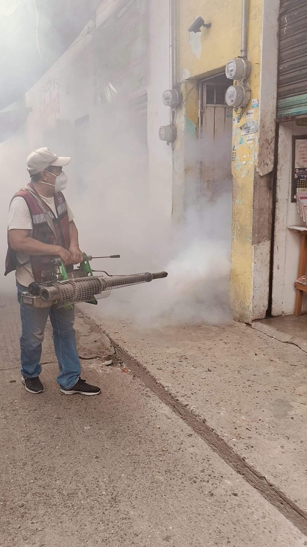 Realizan campaña de fumigación en el Mercado Municipal de la ...