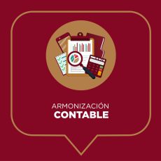 ARMONIZACIÓN CONTABLE