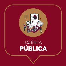 CUENTA PUBLICA
